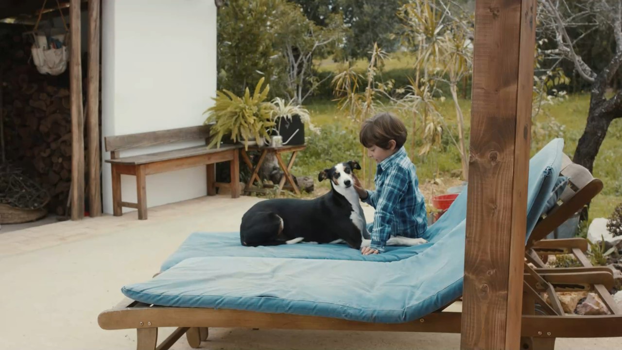 Animal attack Dog viciously kills 10yearold boy video Dailymotion