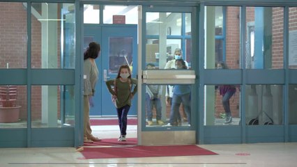 Emmanuel Macron millionaire: His extravagant income revealed