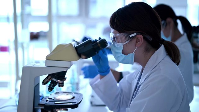 Scientists have created first living robots that can reproduce