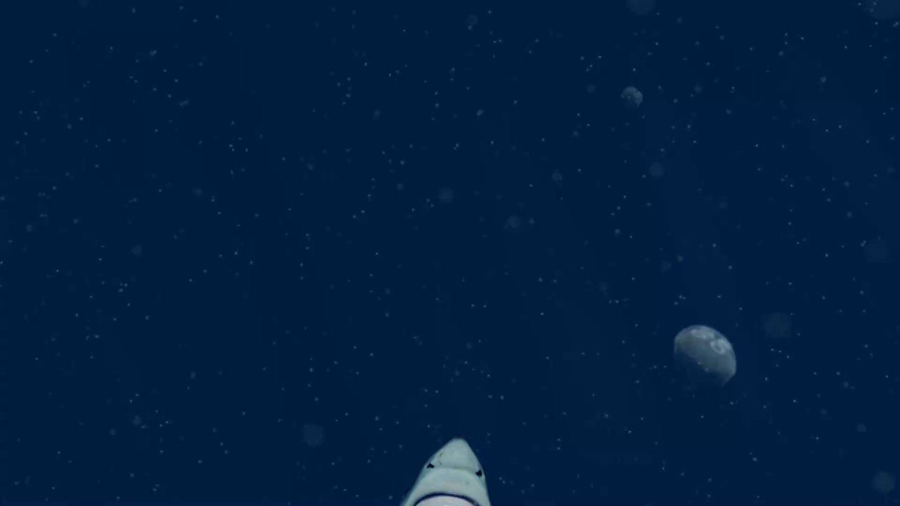 Paleontologists discover a rare fossil of a shark