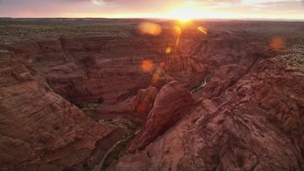 In America, 45,000 hunters are preparing to kill 12 bisons