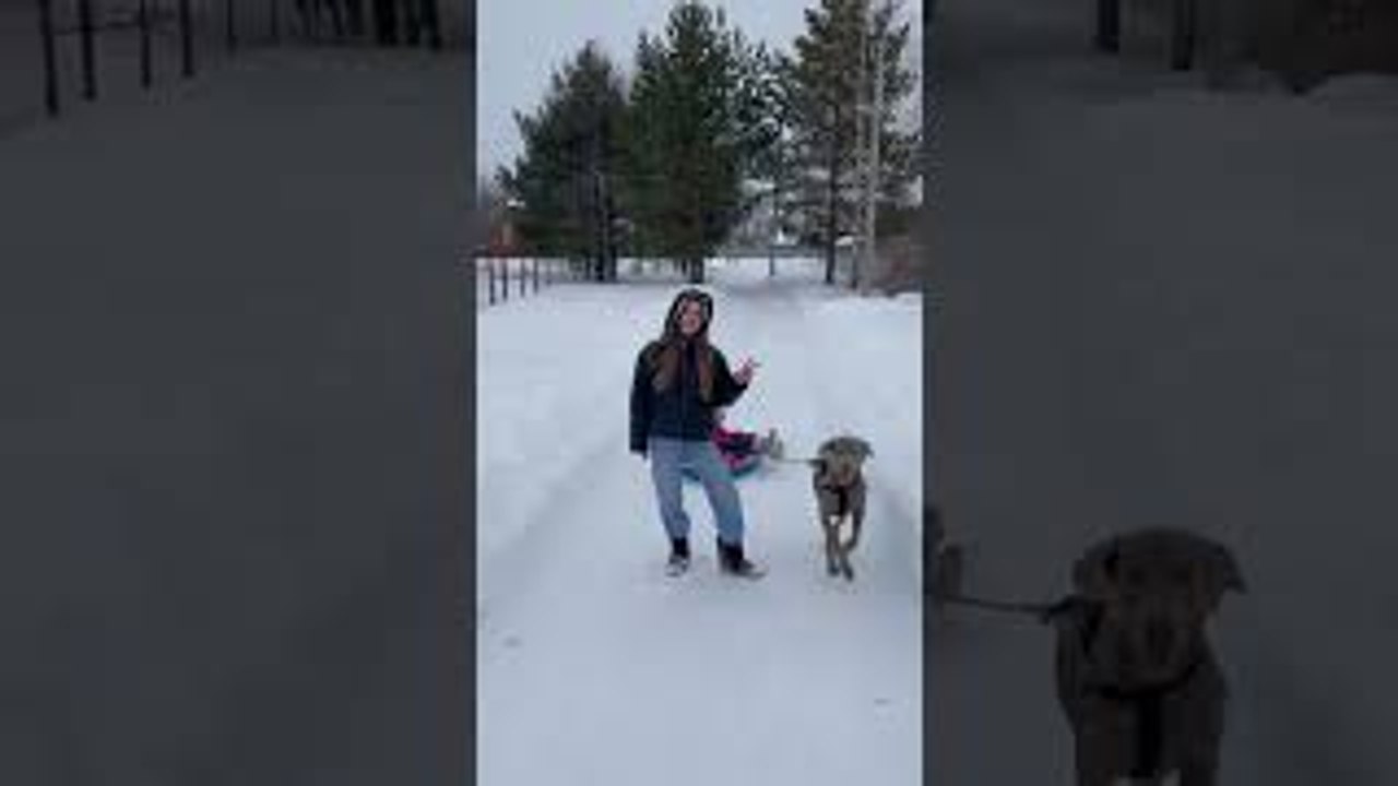 Ruff Start to Winter Games