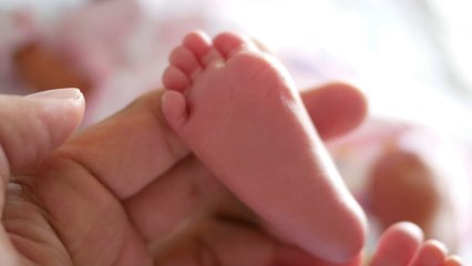 This is how pollution determines the sex ratio of babies born - Study