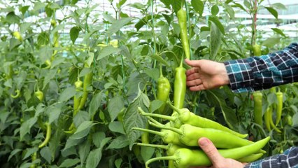 This atronaut's eyes drastically deformed after six months in space