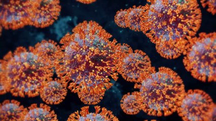 COVID-19: This is the date of the end of the pandemic, according to WHO chief