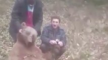 Animal Cruelty: Horrendous Videos Show Hunters Torturing Brown Bears in Turkey