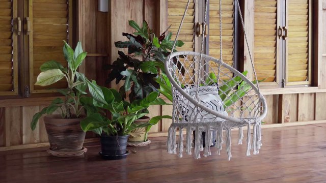 Aldi is selling a hanging egg chair for less than £150