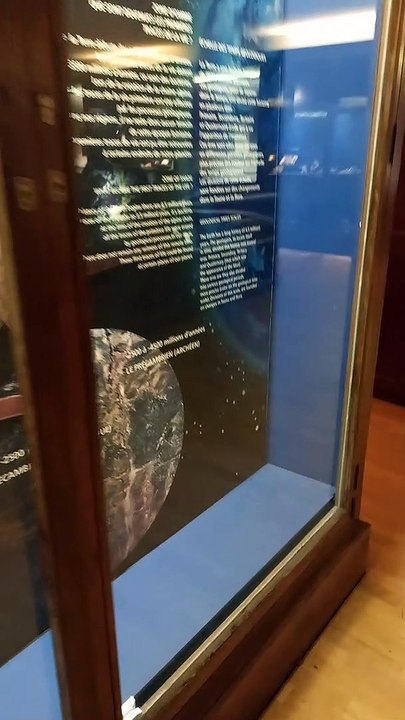 Muséum d'histoire naturelle de Grenoble (31)