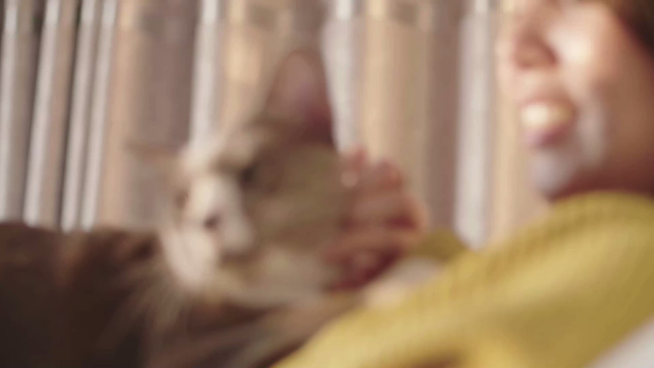 How to befriend your pet?