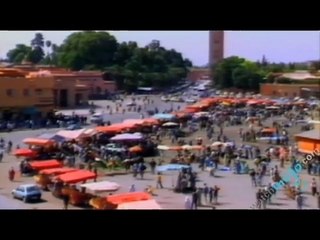 Discover Moroccan Cuisine 🍽️