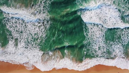 This year’s Love Islanders have landed in Majorca