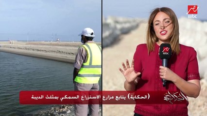 (الحكاية) يتابع مزارع الاستزراع السمكي بمثلث الديبة