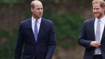 Harry tried to engage with William at Diana’s tribute, here’s how his brother reacted
