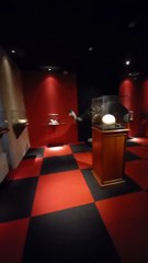 Muséum d'histoire naturelle de Grenoble (28)