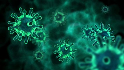 Scientists discover antibody that protects against COVID and all its variants