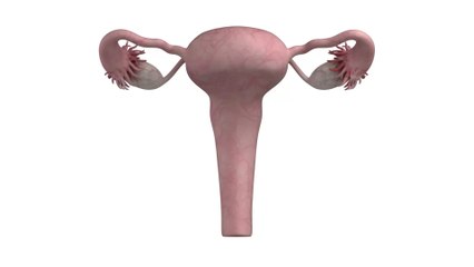 Woman without womb gives birth to two after uterus transplant