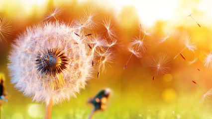 Allergies or COVID? Here's how to differentiate between the two