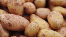 Her kitchen was invaded with sprouting potatoes