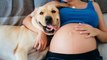 She discovered she was sick when her dog started whining near her pregnant belly