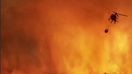 Incendies dans le Var : deux candidates de télé-réalité évacuées en urgence