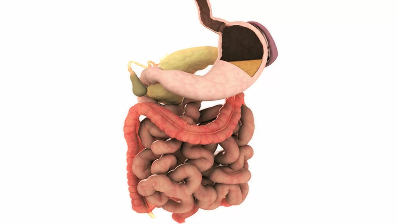 Heartburn: Natural home remedies to fight off acid reflux