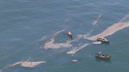 Repsol muestra sus avances en la limpieza del derrame de crudo en Perú