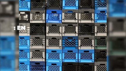 TikTok : Le Milk Crate Challenge, ce défi dangereux banni par la plateforme