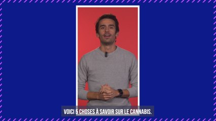 Ce pays de l’Union Européenne légalise le cannabis récréatif