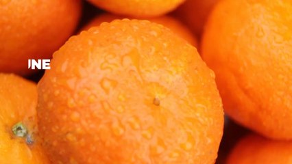 Quelle est la différence entre une mandarine et une clémentine ?