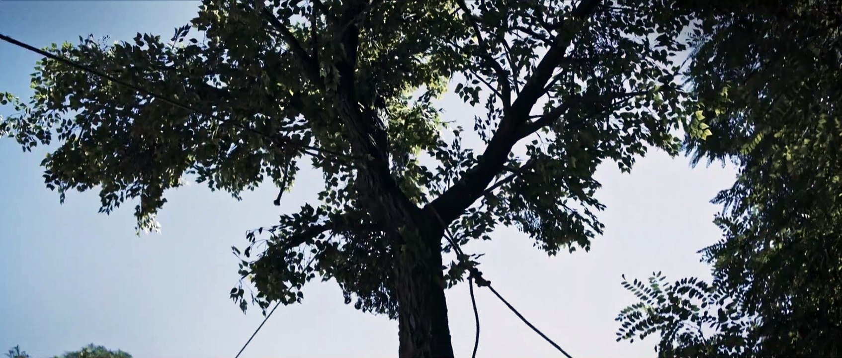 DIE SCHWARZE SPINNE Film