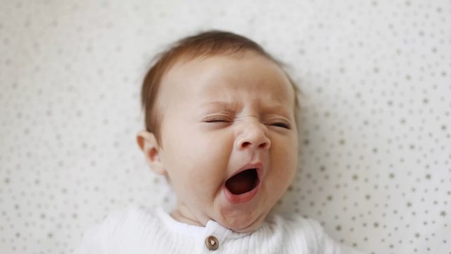 Insolite : ils utilisent uniquement 4 lettres pour le prénom de leurs 12 enfants