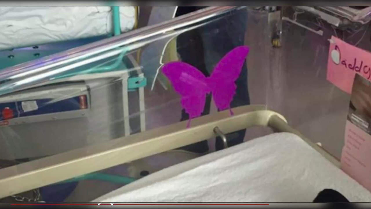 Maternité : que signifie ce papillon violet au-dessus du berceau ?