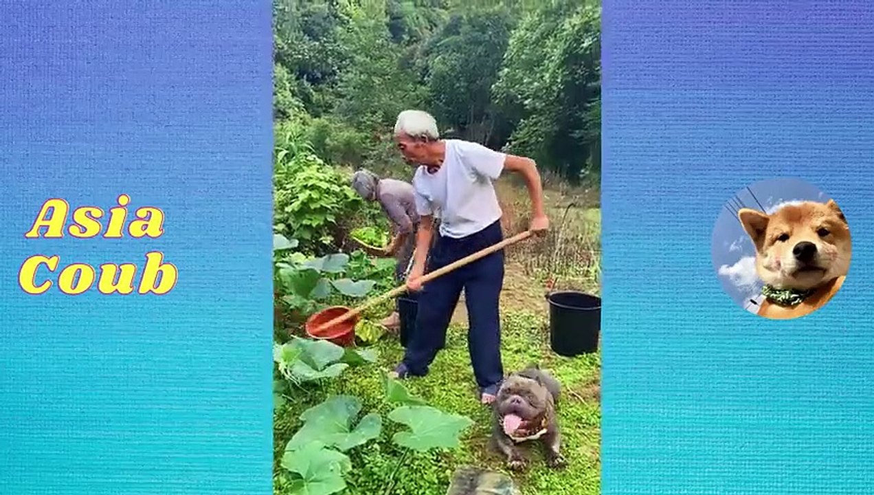 BEST FUNNY Videos 2022~china vines~TOP People doing stupid things