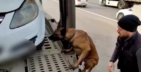 TIR'IN TAŞIDIĞI OTOMOBİLİN BAGAJINDAN 5 KİLO UYUŞTURUCU ÇIKTI