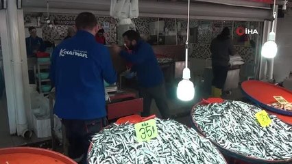 Bandırma Balık Hali'nde hamsi bolluğu