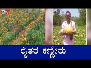 ಬೆಳೆದ ಬೆಳೆಗೆ ಮಾರುಕಟ್ಟೆ ಇಲ್ಲ, ಸೂಕ್ತ ದರವೂ ಇಲ್ಲ..! | Lockdown Effect | Hassan | TV5 Kannada