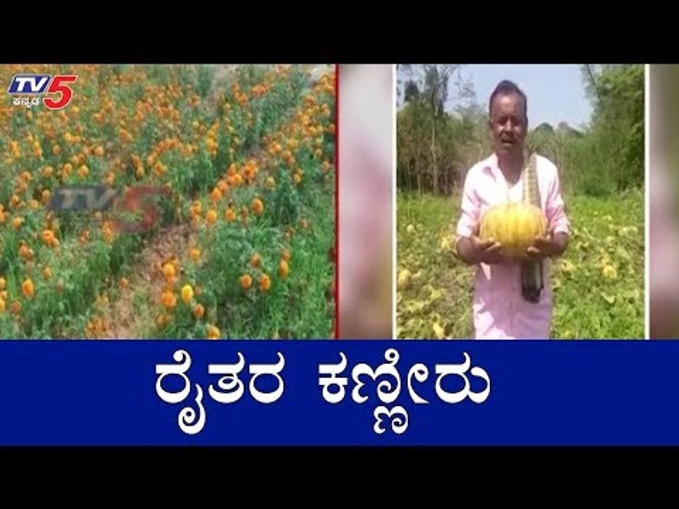 ಬೆಳೆದ ಬೆಳೆಗೆ ಮಾರುಕಟ್ಟೆ ಇಲ್ಲ, ಸೂಕ್ತ ದರವೂ ಇಲ್ಲ..! | Lockdown Effect | Hassan | TV5 Kannada