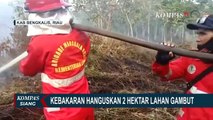 Lahan Gambut Seluas Dua Hektar di Riau Terbakar!