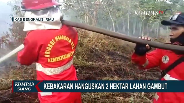 Lahan Gambut Seluas Dua Hektar di Riau Terbakar!
