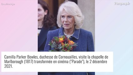 Download Video: Camilla Parker Bowles future reine : Elizabeth II prend tout le monde de court !