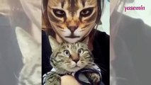 Yüz filtresine kedilerin verdiği tepkiler sosyal medyayı salladı