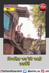 भिंड :कुत्ते को काटकर कच्चा खा गया युवक