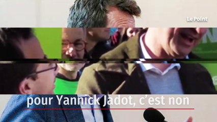 Primaire de la gauche : pour Yannick Jadot, c’est non