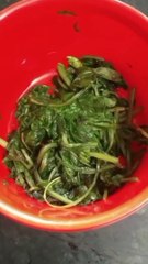 Spinach Bread | How to Make Spinach Bread | Rk food shorts