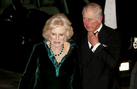 Prince Charles 'deeply conscious' of the honour of Queen Elizabeth's wish for 'darling wife' Camilla to become Queen Consort