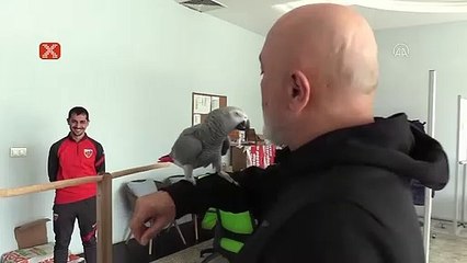 Hikmet Karaman: "Fenerbahçe'yi elemek istiyoruz"