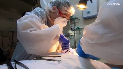 Россия упрощает ковидные правила в больницах и школах