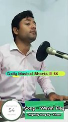 Wavin' Flag (Cover) | (Daily Musical Shorts #66) | Acorn Wolve | #Shorts