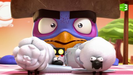 صراع بين كايلو والبطريق بسبب الخراف