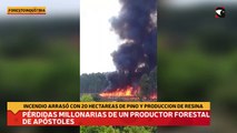 Pérdidas millonarias de un productor forestal de Apóstoles